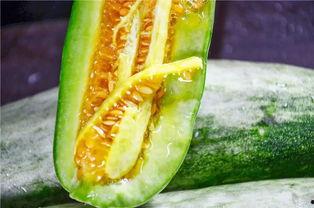 网红陈佩奇吃瓜视频,揭秘网红幕后生活 第1张 网红陈佩奇吃瓜视频,揭秘网红幕后生活 第1张